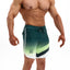 Flagship Boardshort - Ivy
