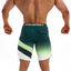 Flagship Boardshort - Ivy