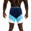 Legion Boardshort - Atlantic